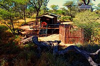 Glamping-Zelt im TimBila-Camp aus der Vogelperspektive