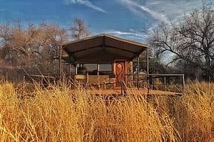 Glamping-Zelt im TimBila-Camp